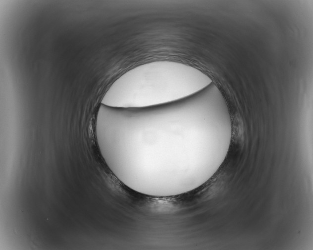 X0000087570573200704270946