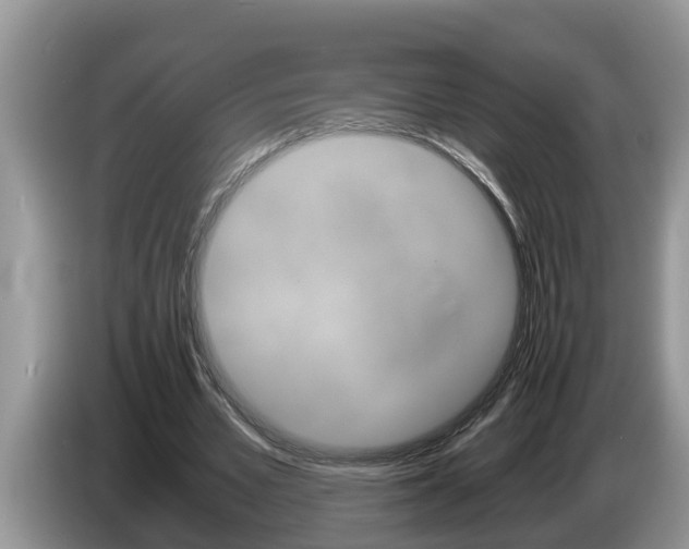 X0000087570581200704270945