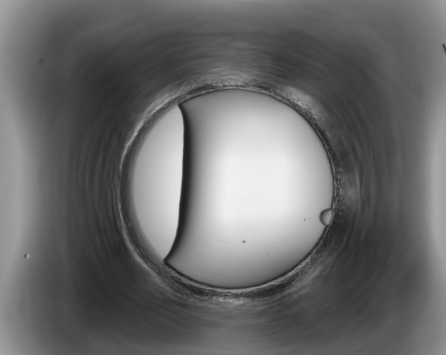 X0000087570582200704270945