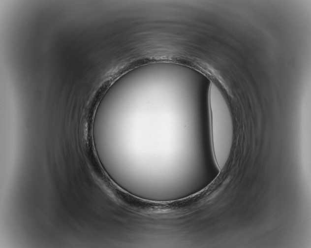 X0000087570589200704270945
