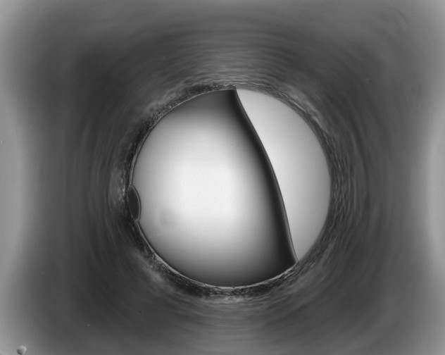 X0000087570593200704270945