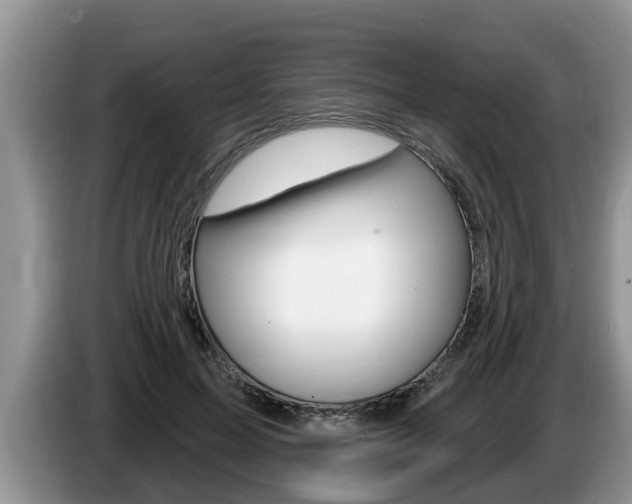 X0000087570599200704270945