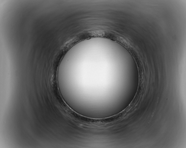 X0000087570600200704270945