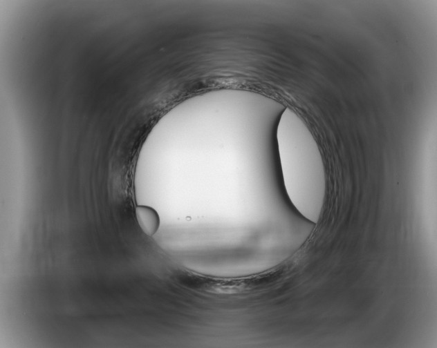 X0000087570606200704270945
