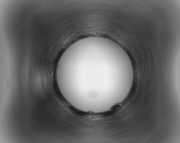 X0000087570615200704270945