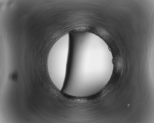 X0000087570619200704270945