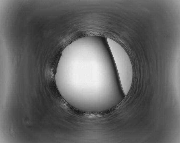 X0000087570621200704270944