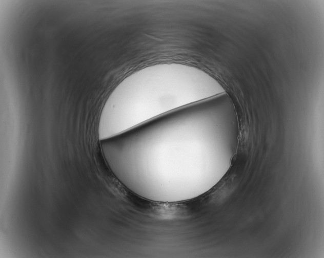 X0000087570623200704270944