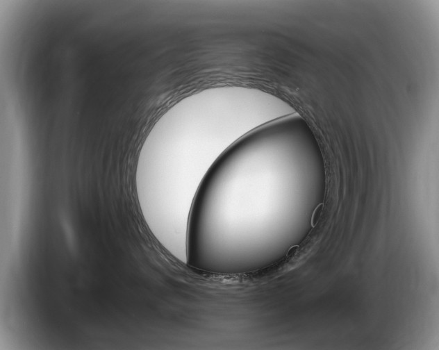 X0000087570624200704270944