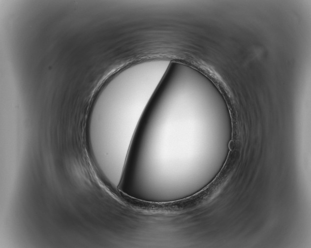 X0000087570625200704270944