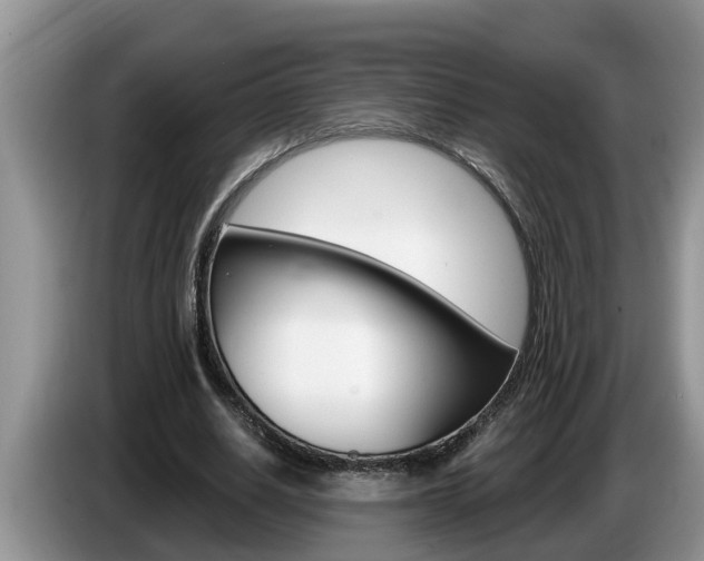 X0000087570630200704270944