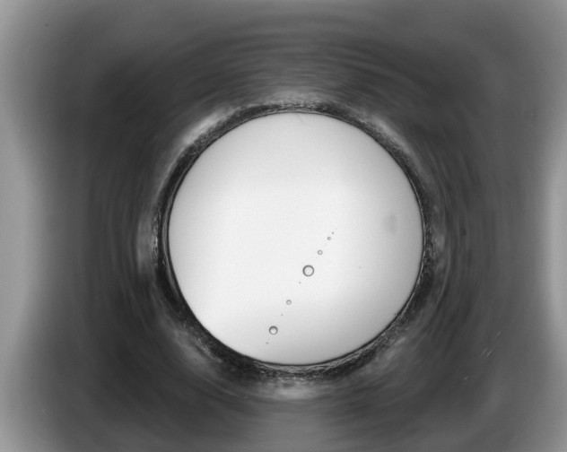X0000087570632200704270944