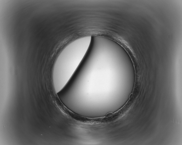X0000087570633200704270944