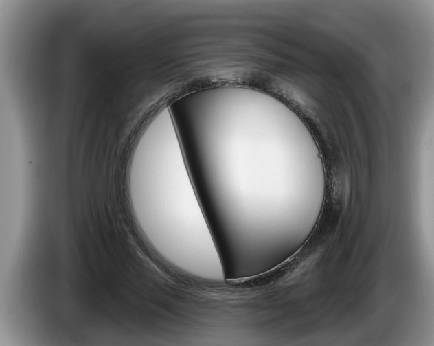 X0000087570637200704270944