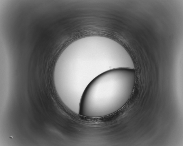 X0000087570642200704270944