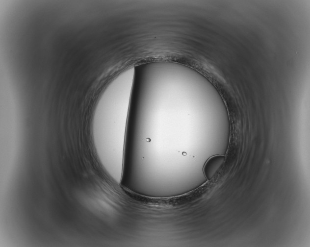 X0000087570644200704270944