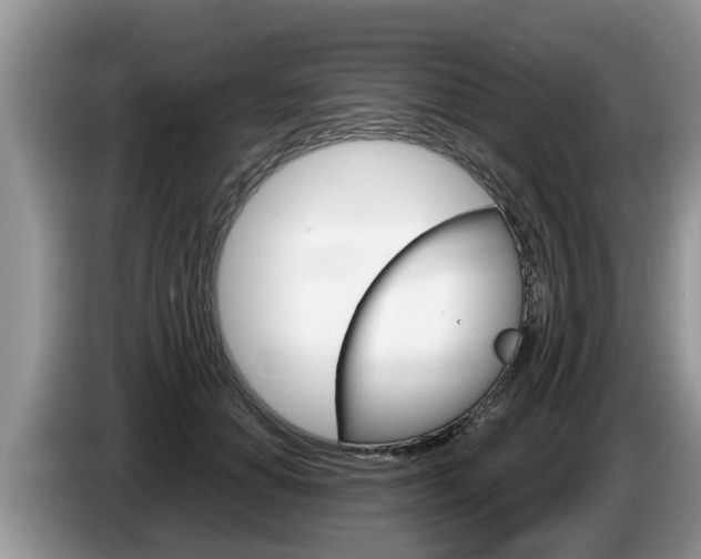 X0000087570654200704270944