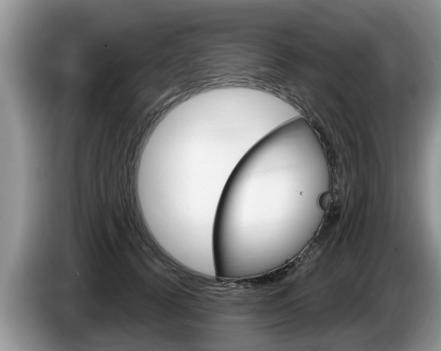 X0000087570656200704270944