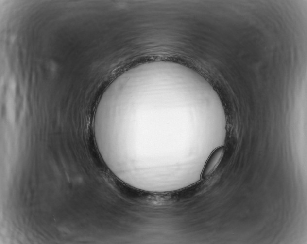 X0000087570660200704270944