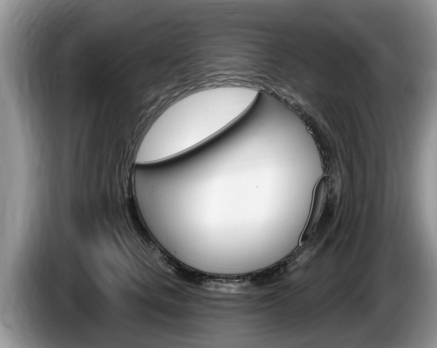 X0000087570661200704270944