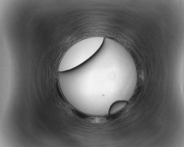 X0000087570663200704270944