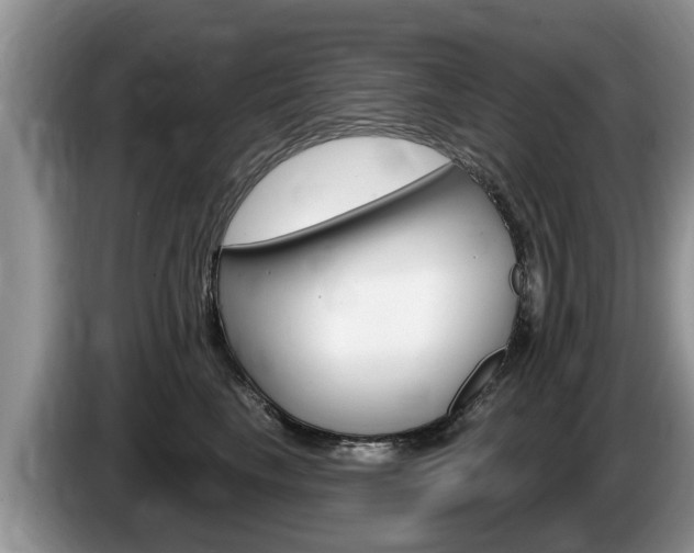 X0000087570665200704270944