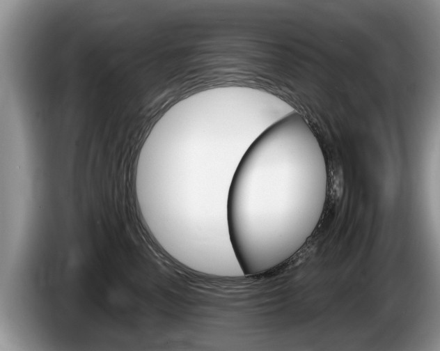 X0000087570666200704270944