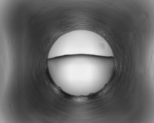 X0000087570670200704270944