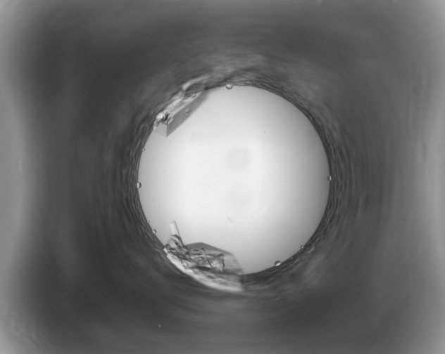 X0000087570672200704270944