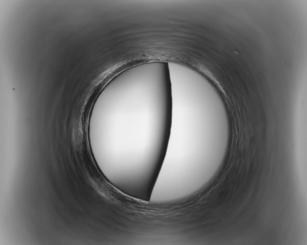 X0000087570674200704270944