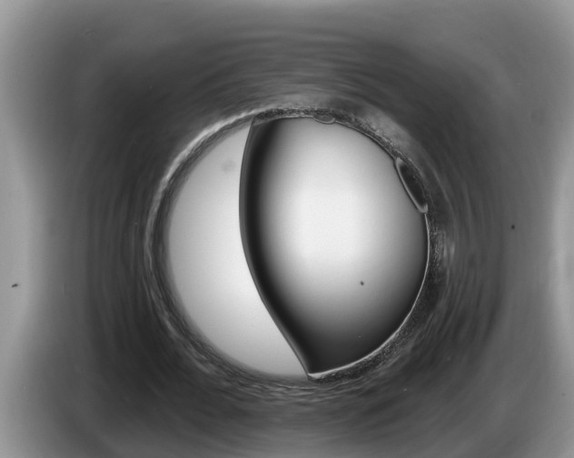 X0000087570676200704270944