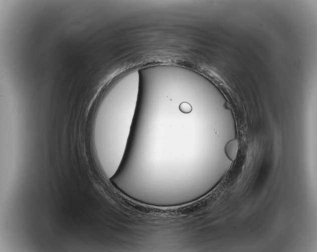 X0000087570679200704270944