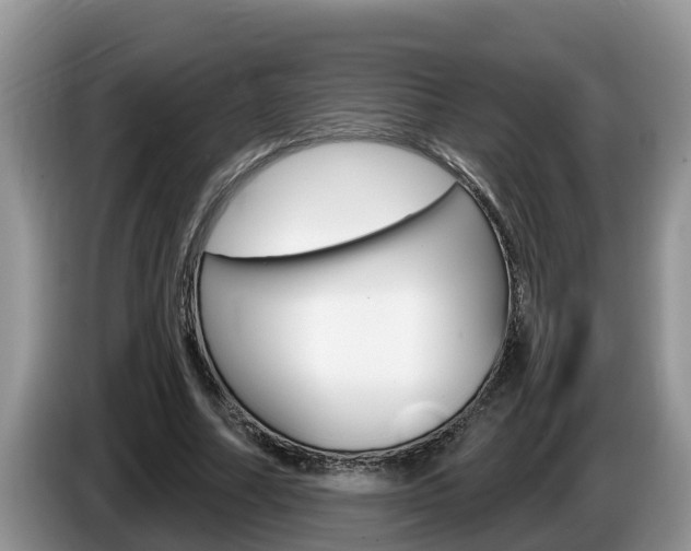 X0000087570682200704270944