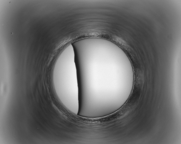 X0000087570683200704270944