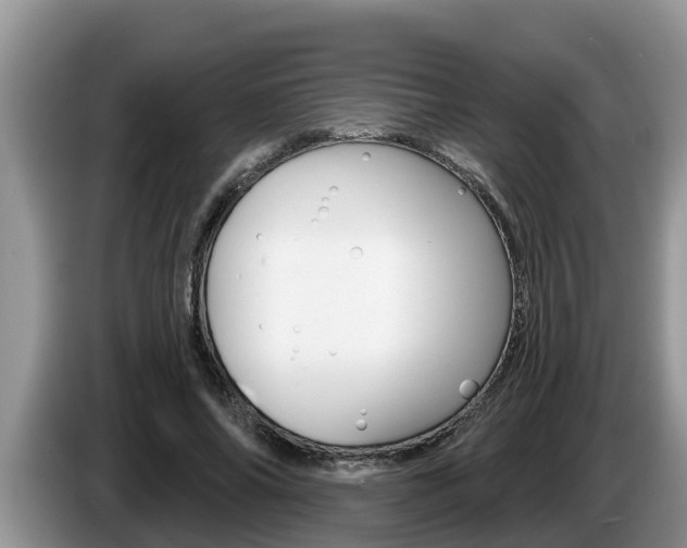 X0000087570686200704270944