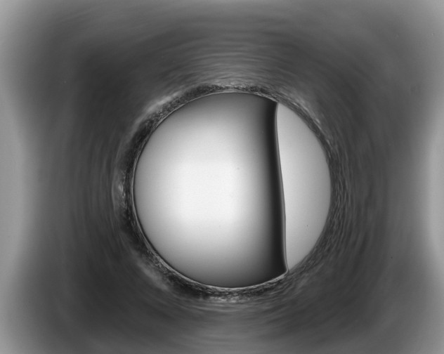 X0000087570688200704270944