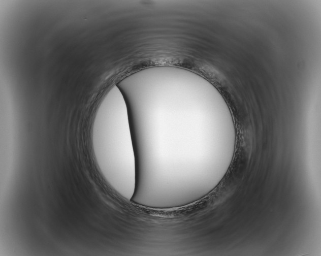 X0000087570690200704270944