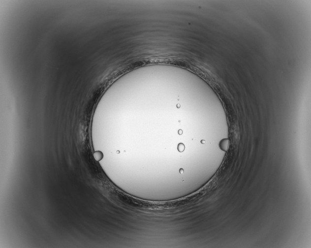 X0000087570691200704270944