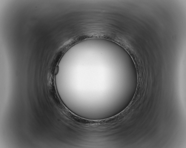 X0000087570692200704270944