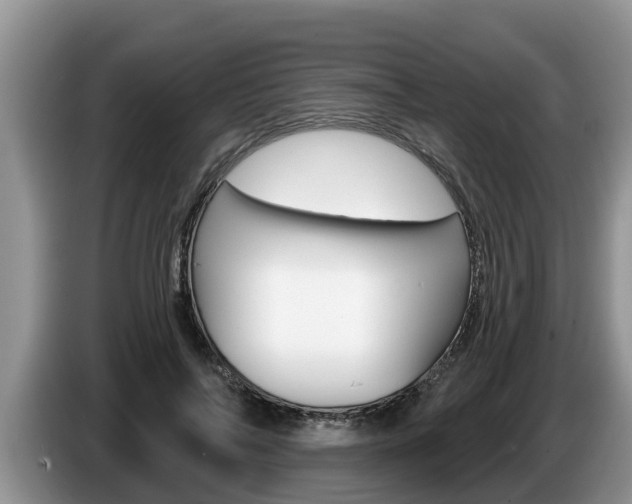 X0000087570694200704270944
