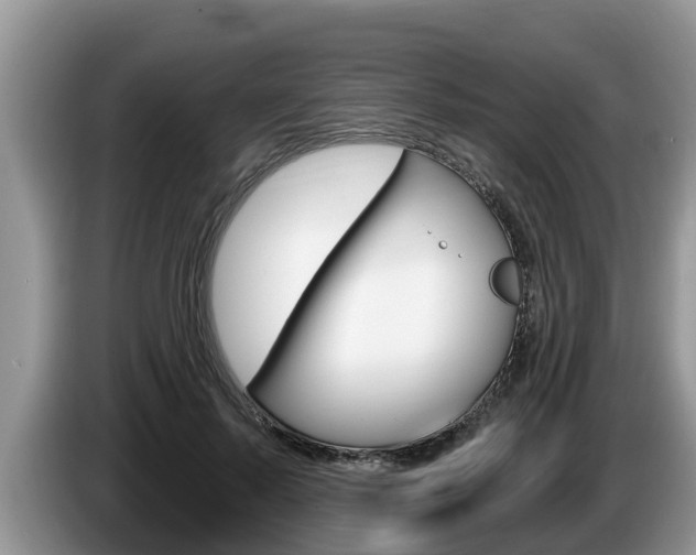 X0000087570695200704270944
