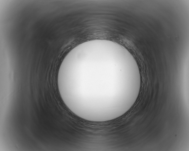 X0000087570705200704270944