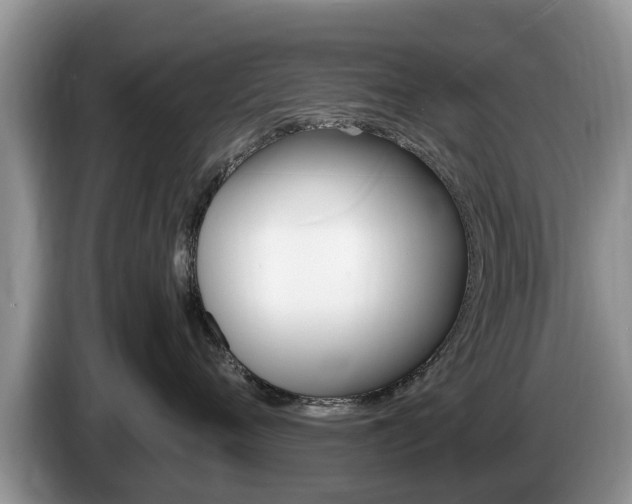 X0000087570720200704270943