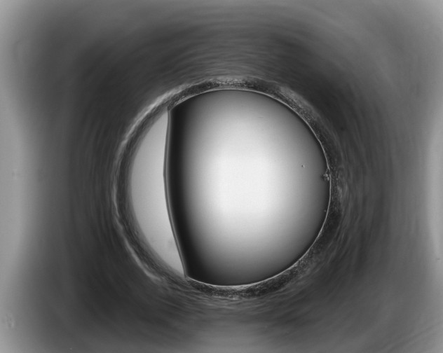 X0000087570728200704270943