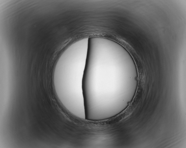 X0000087570729200704270943