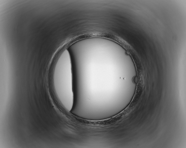 X0000087570730200704270943