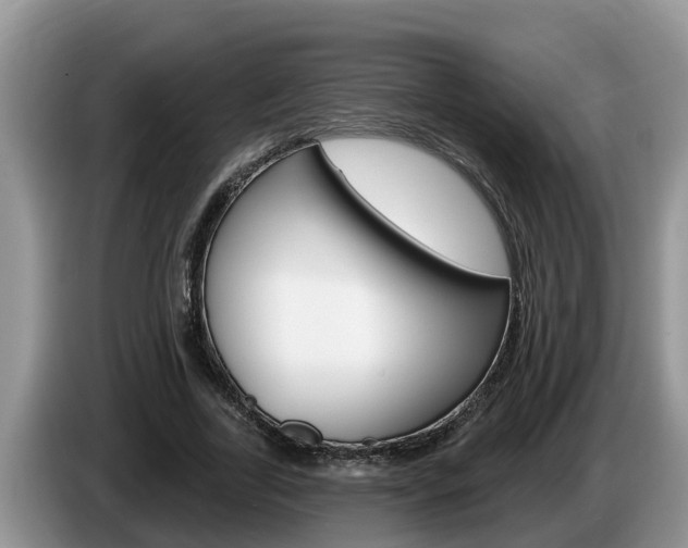 X0000087570731200704270943