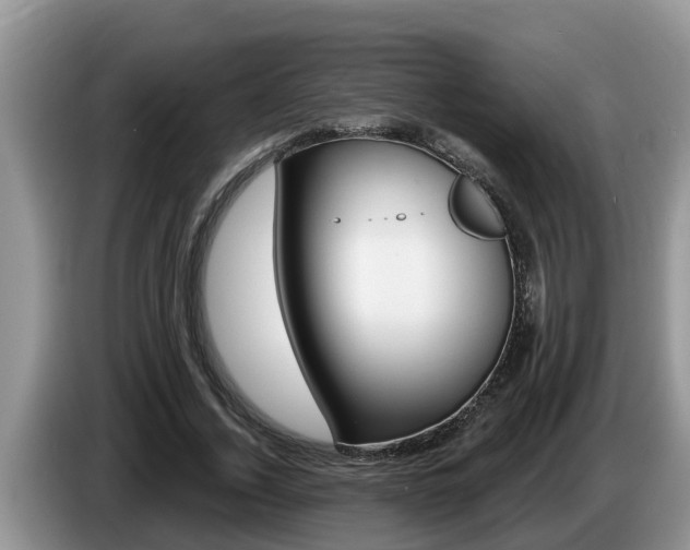 X0000087570732200704270943