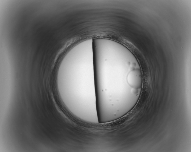 X0000087570734200704270943