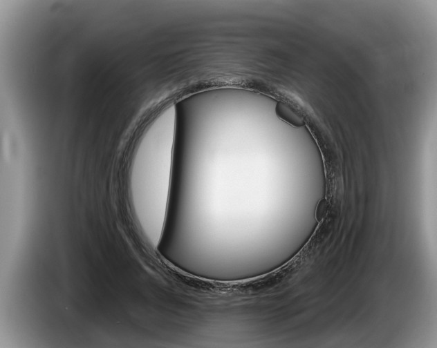 X0000087570736200704270943